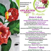 Festa delle Camelie