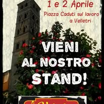 Festa dell’Uva e dei Vini